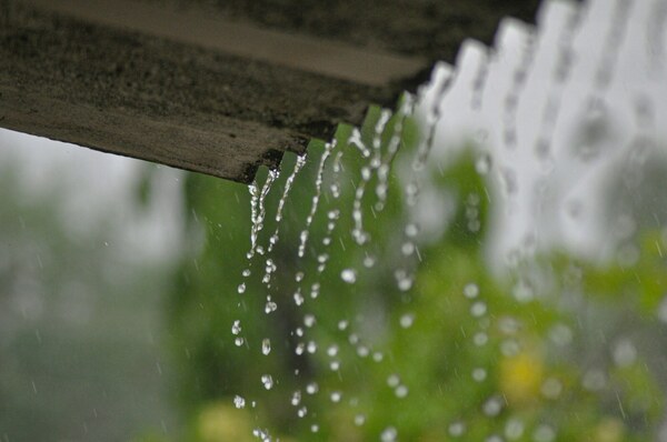 Gutters, Downspouts, and Where Your Roof Water Actually Goes