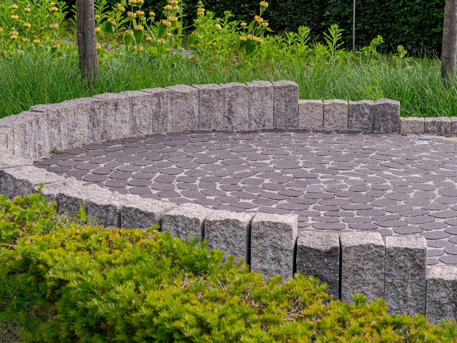 Patio or Deck? Choosing the Right Outdoor Surface for Your Yard